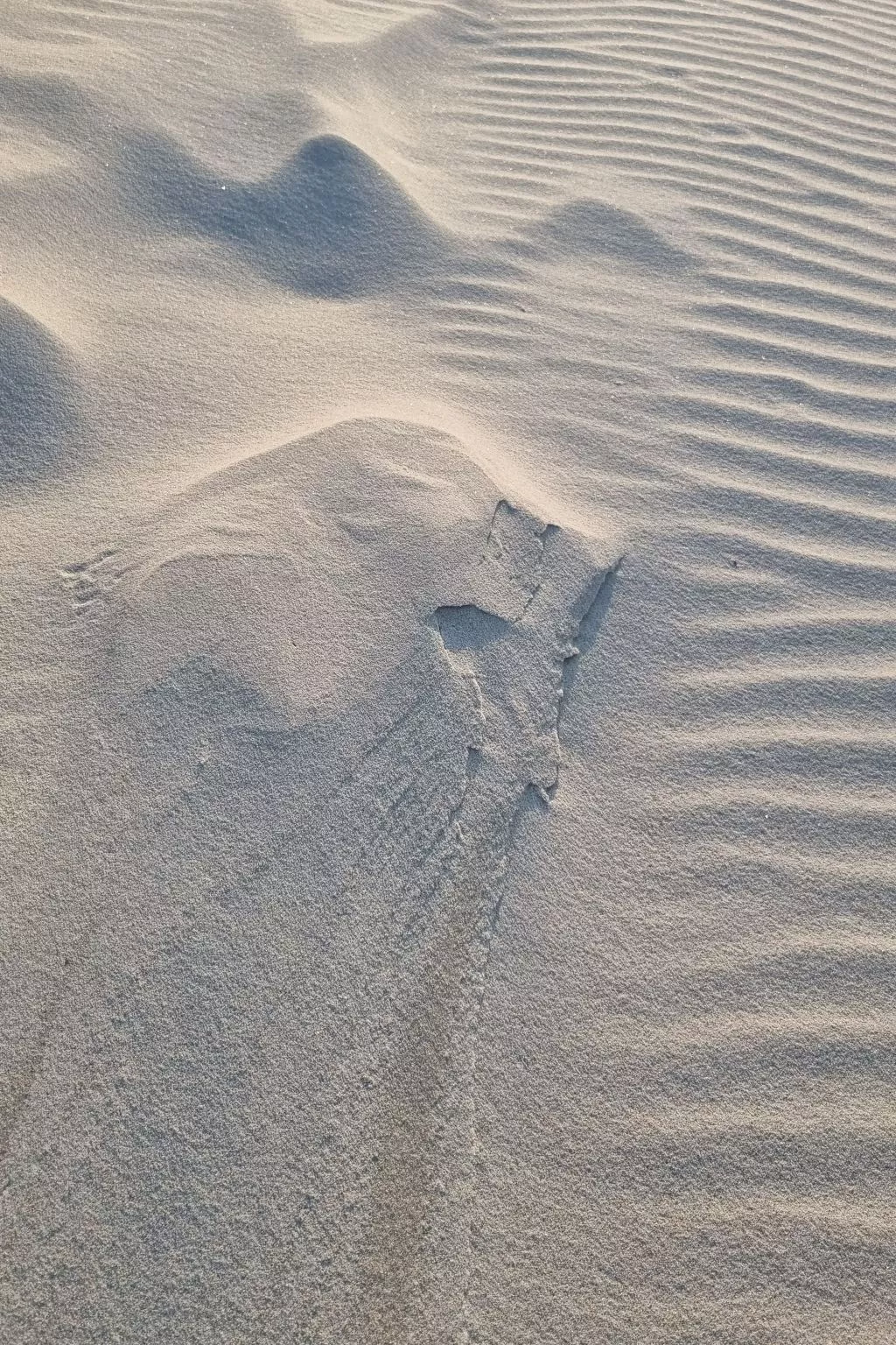 Lublewo21 Ferienhäuser - Binnen