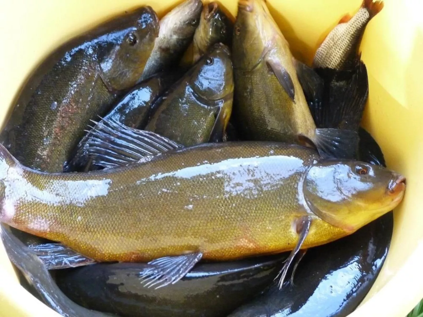 In Kaschubei-Image-tags.info