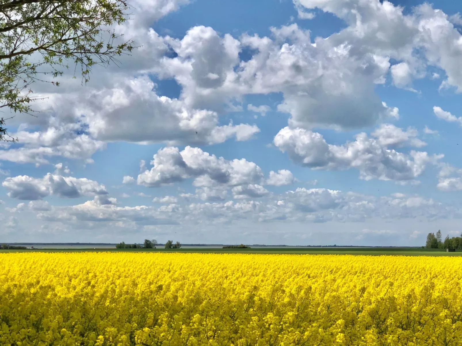 "Saaler Bodden"-Buiten