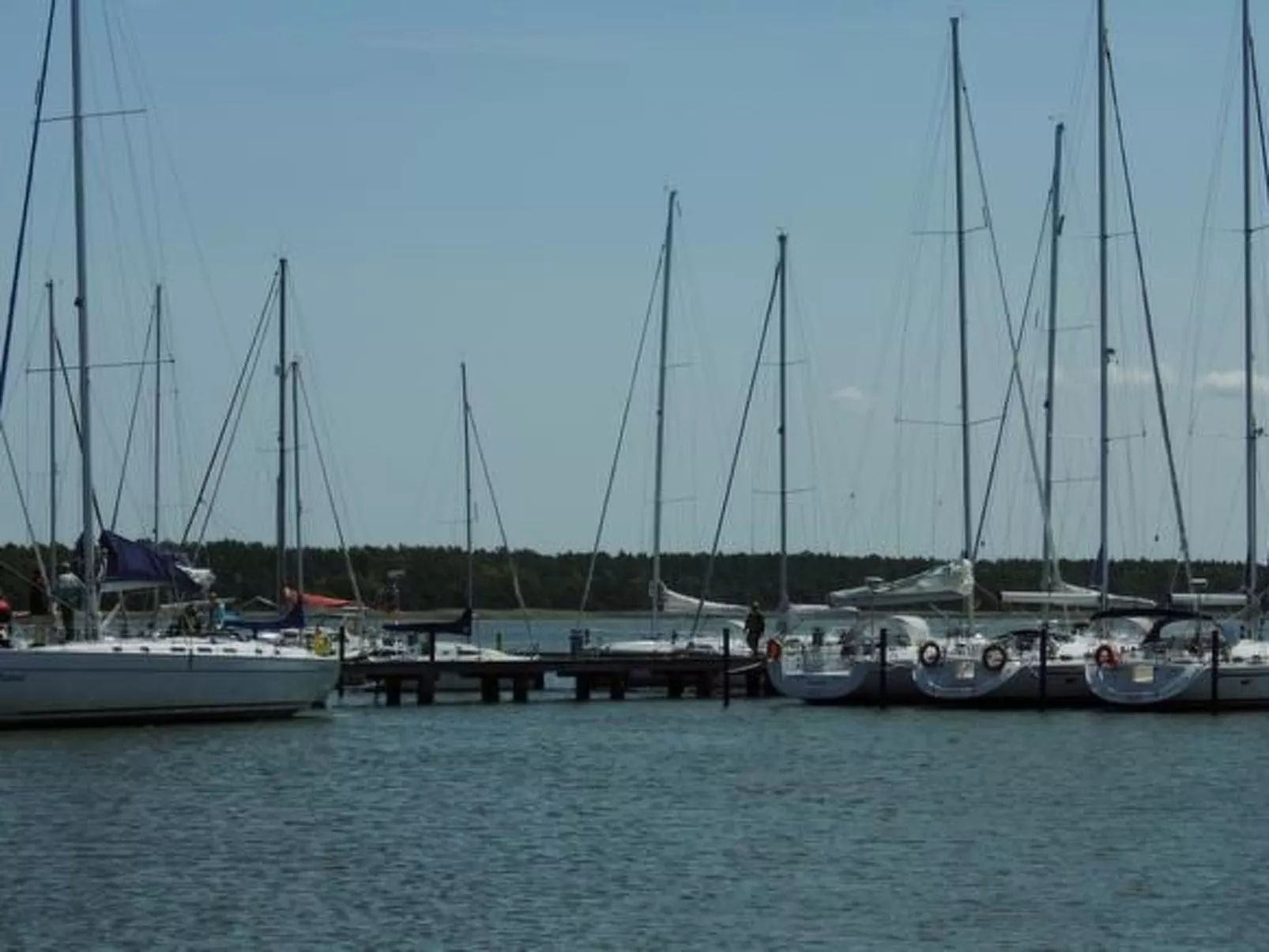 Munky-Image-tags.info