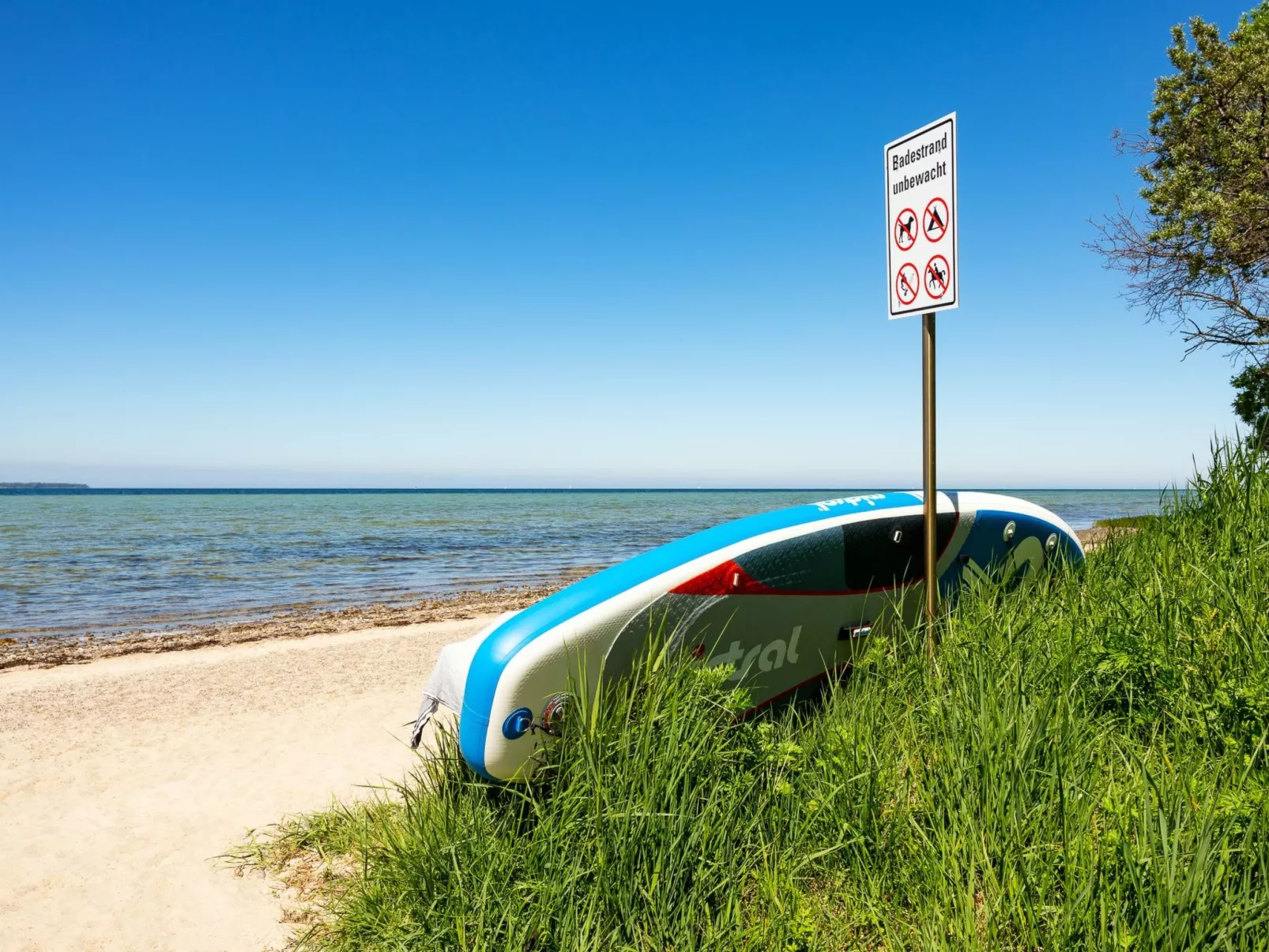 Urlaub mit Hund im Haus Wicki-Image-tags.info