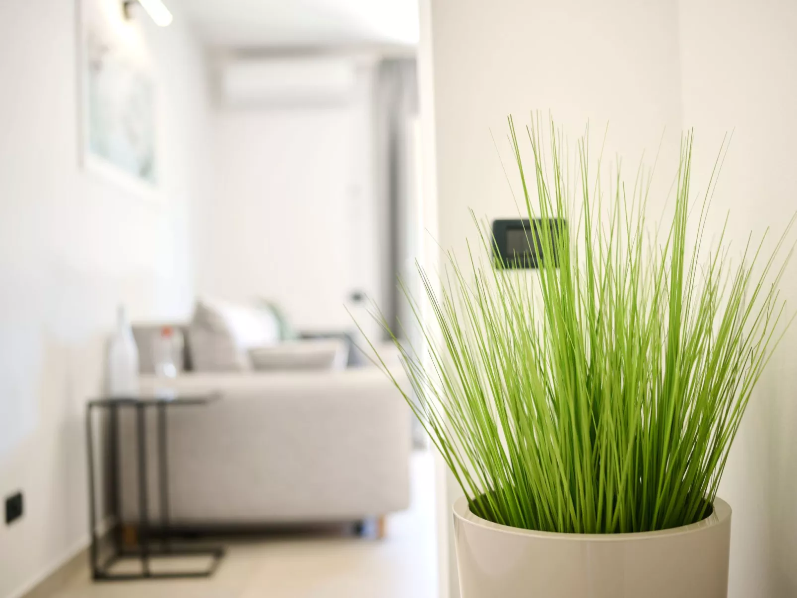 In Zambratija mit eigenem Parkplatz