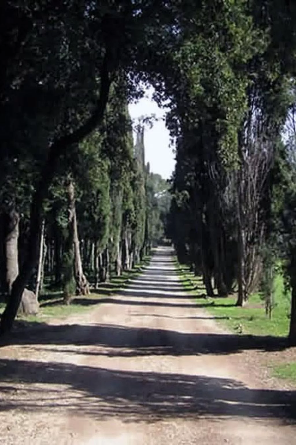 "Gemütlicher Garten" mit Terrasse-Buiten