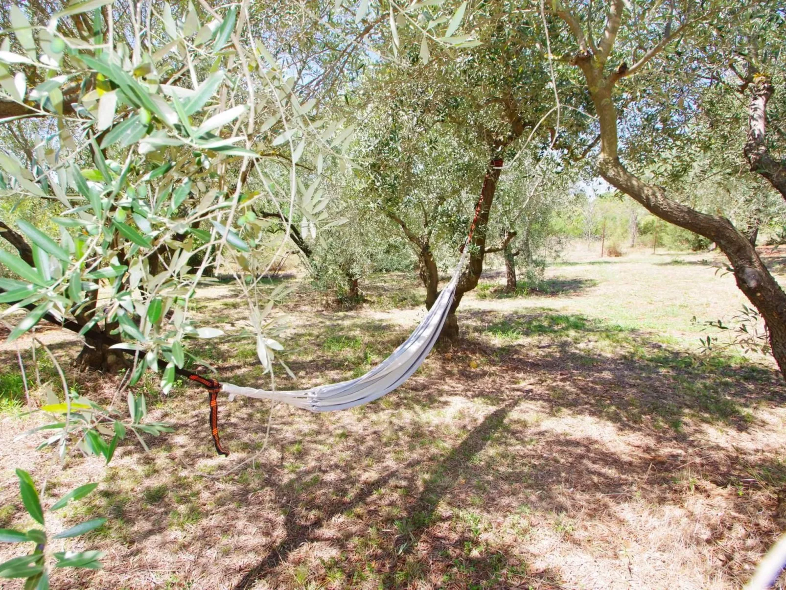 Am Meer "Zara"-Buiten