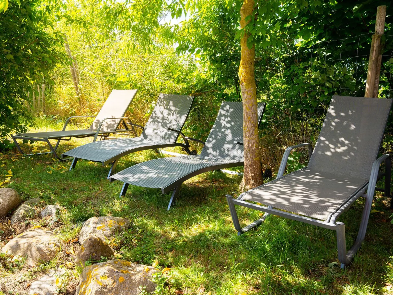 Leuchty-Image-tags.info