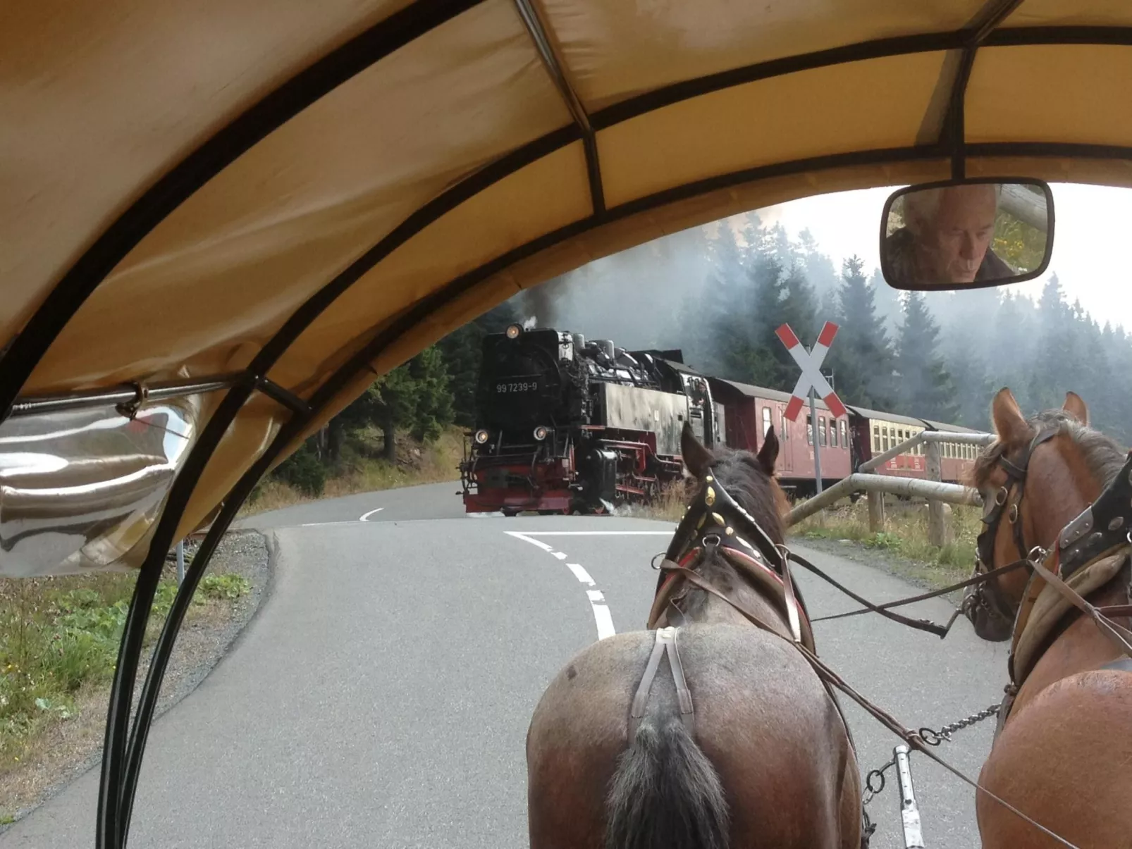 Wohnung in Bad Harzburg mit Garten-Buiten