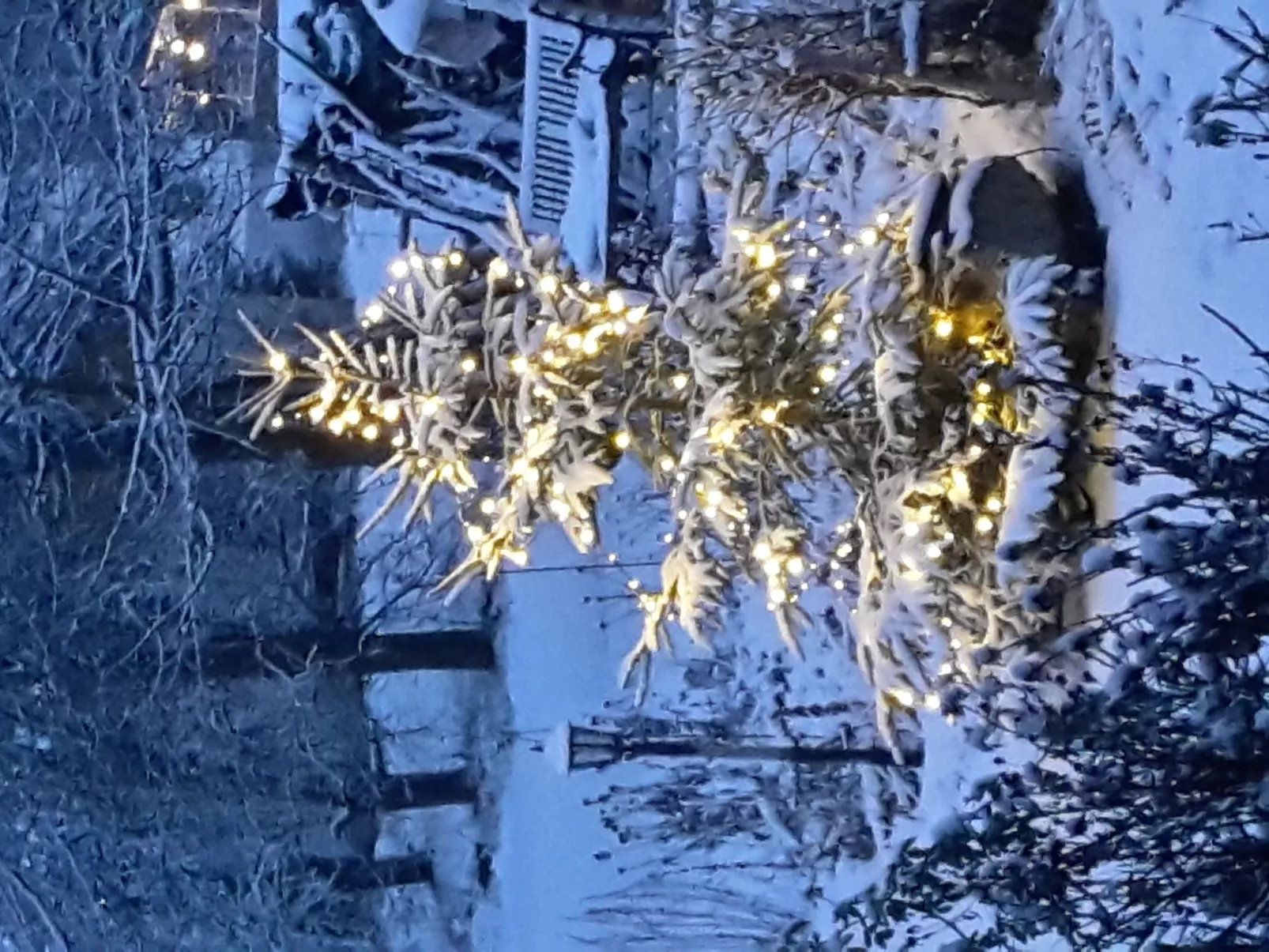 Seitz 2 in Bayerisch Eisenstein-Buiten