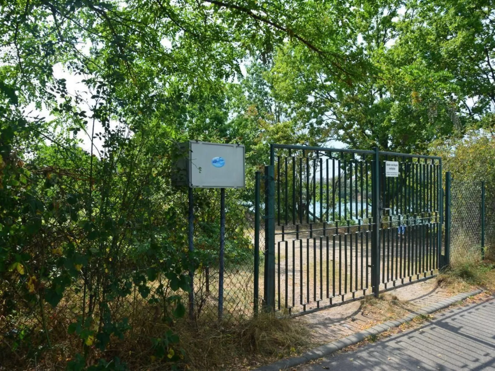 Kunstsammler-Image-tags.info