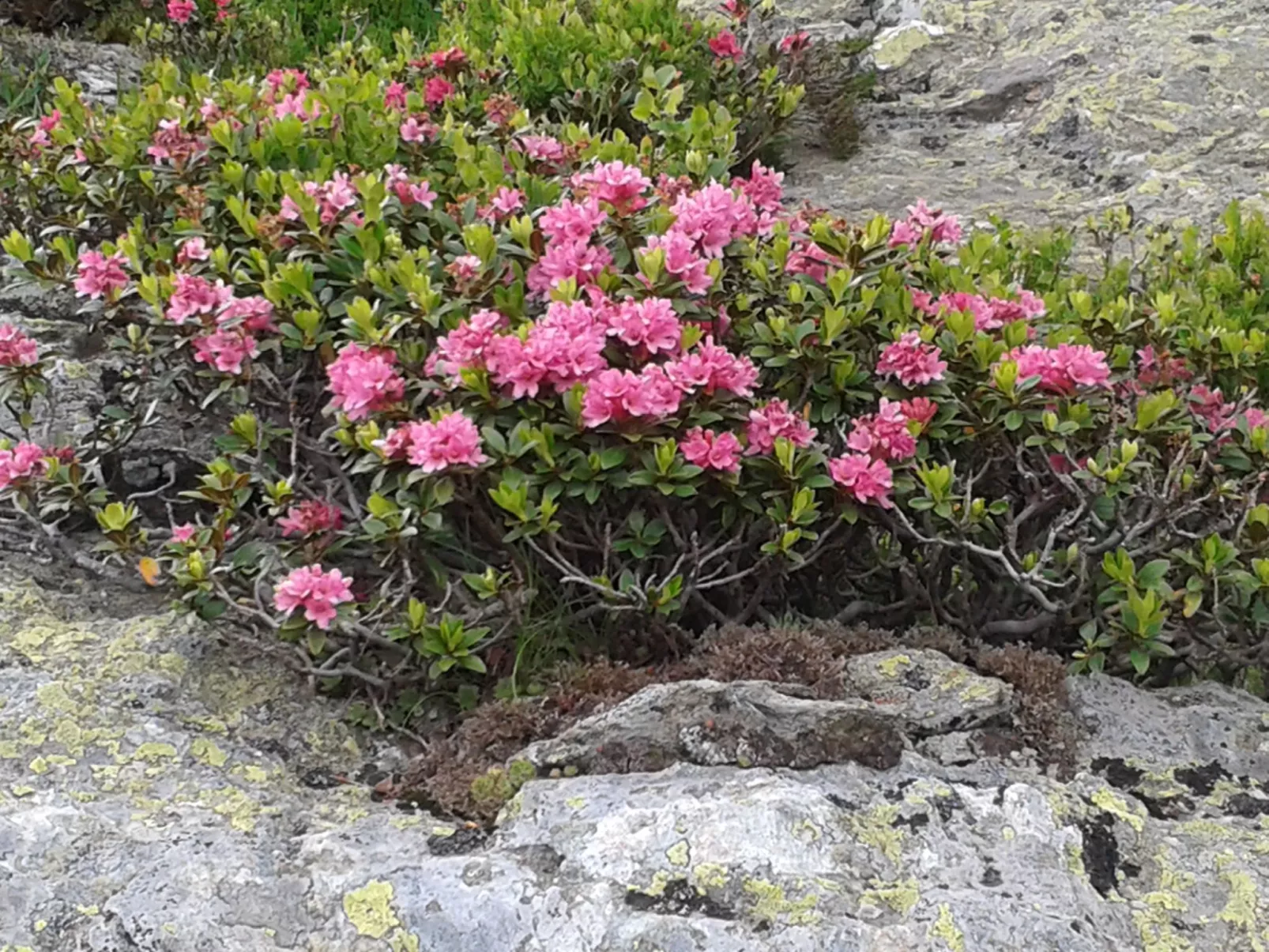 Freistehendes Ferienhaus in idyllischer Lage-Buiten
