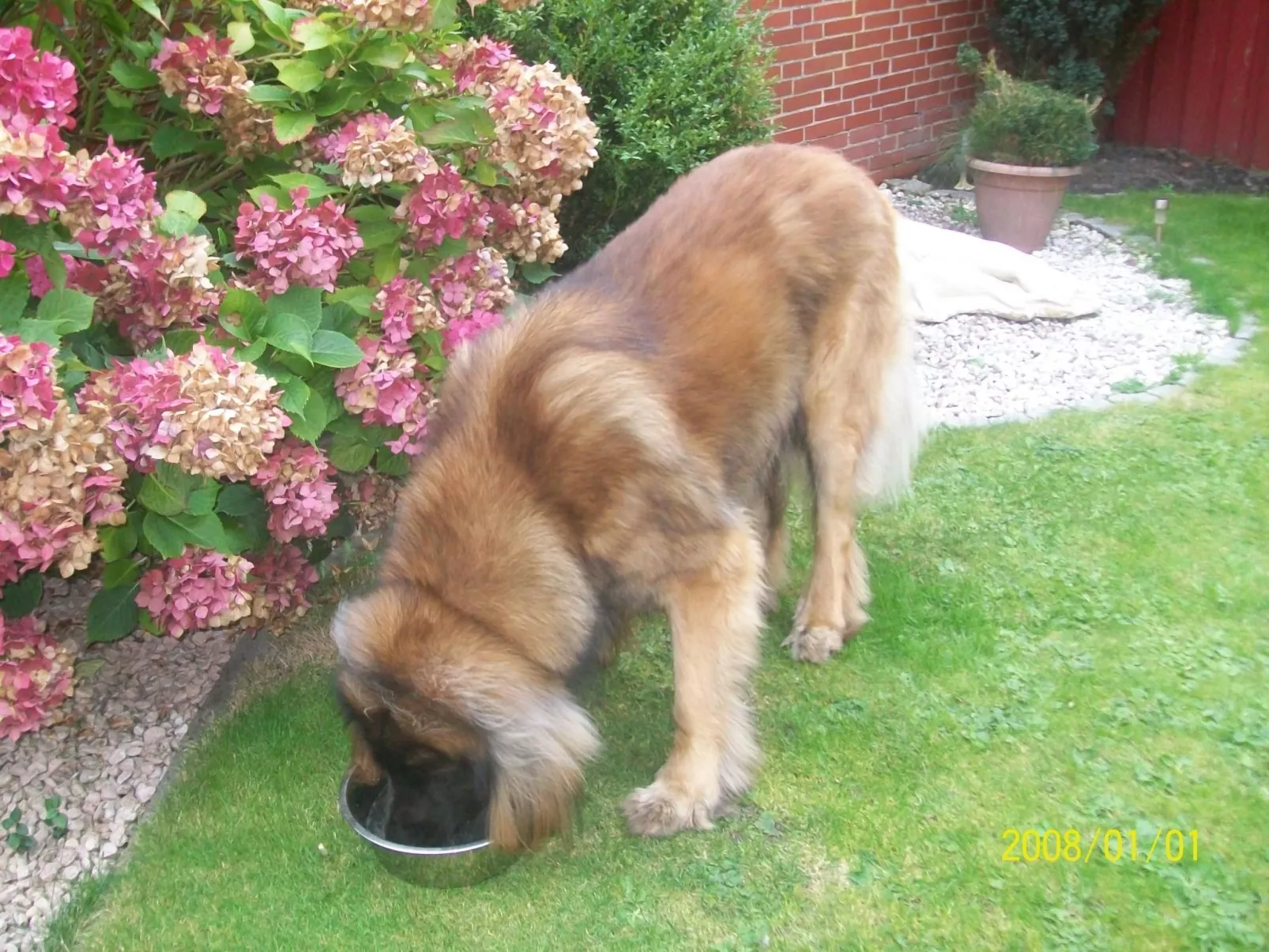 Mit umfriedetem Garten und Terrassen-Buiten