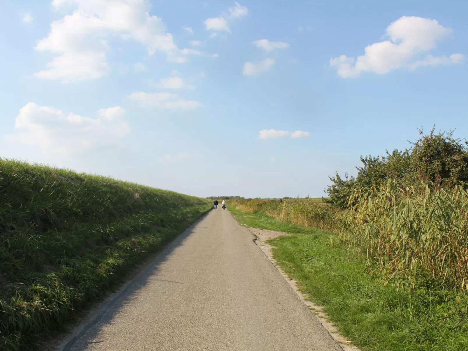 Luxus-Ferienhaus mit Sauna und Kamin-Buiten