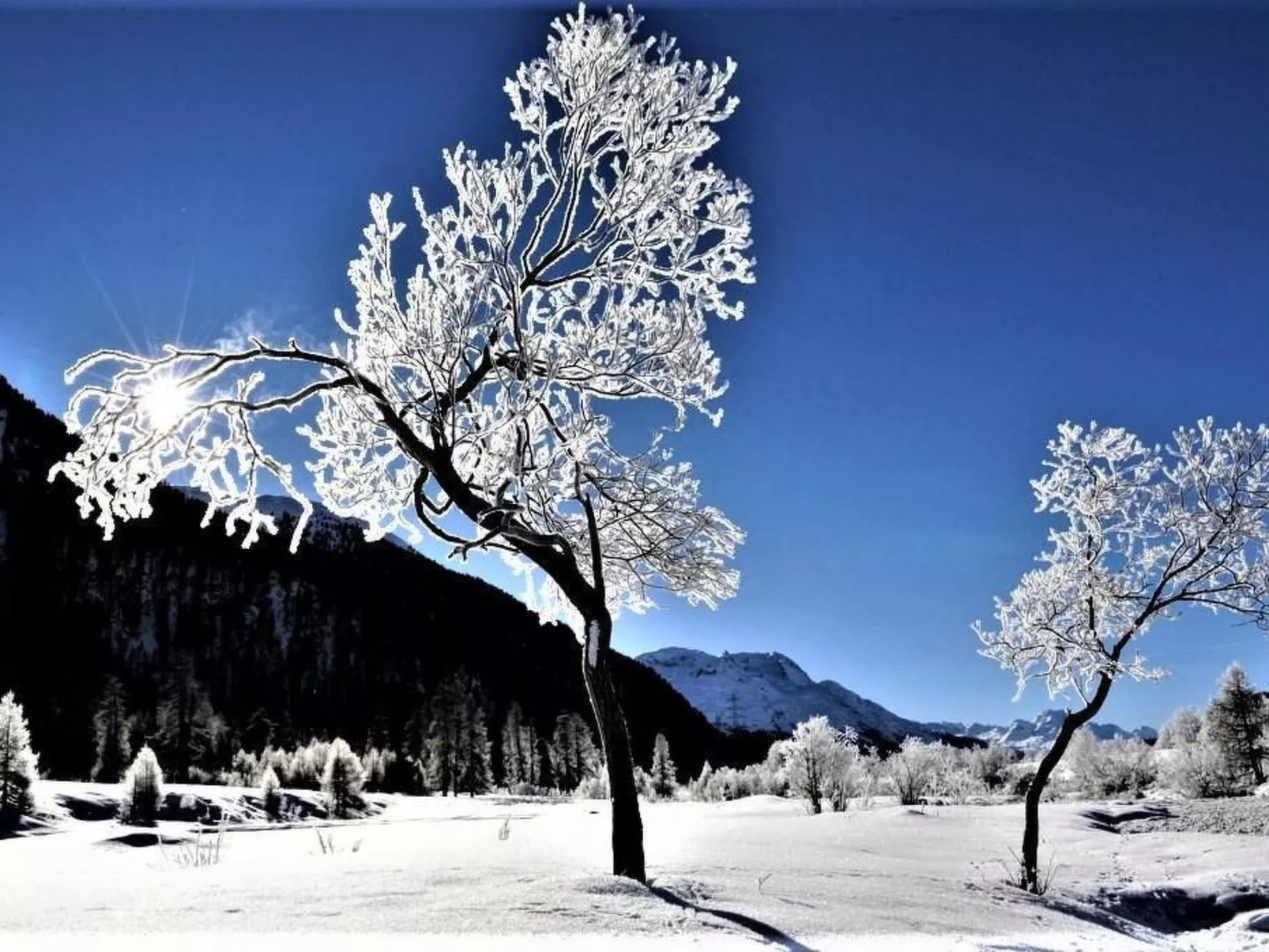 Chesa Arnica A1-Buiten