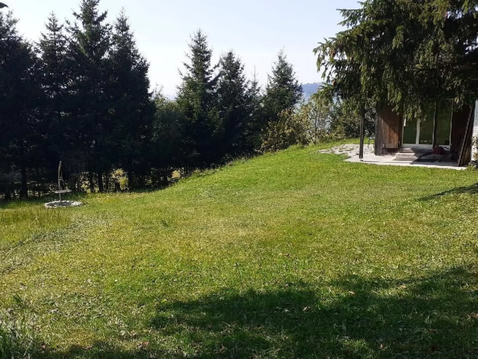 Soldanella-Image-tags.info