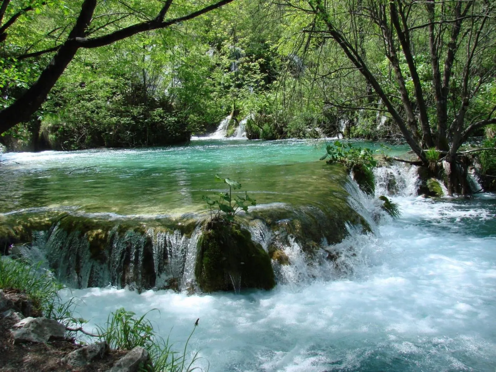 Mit Meerblick in Vinjerac-Buiten