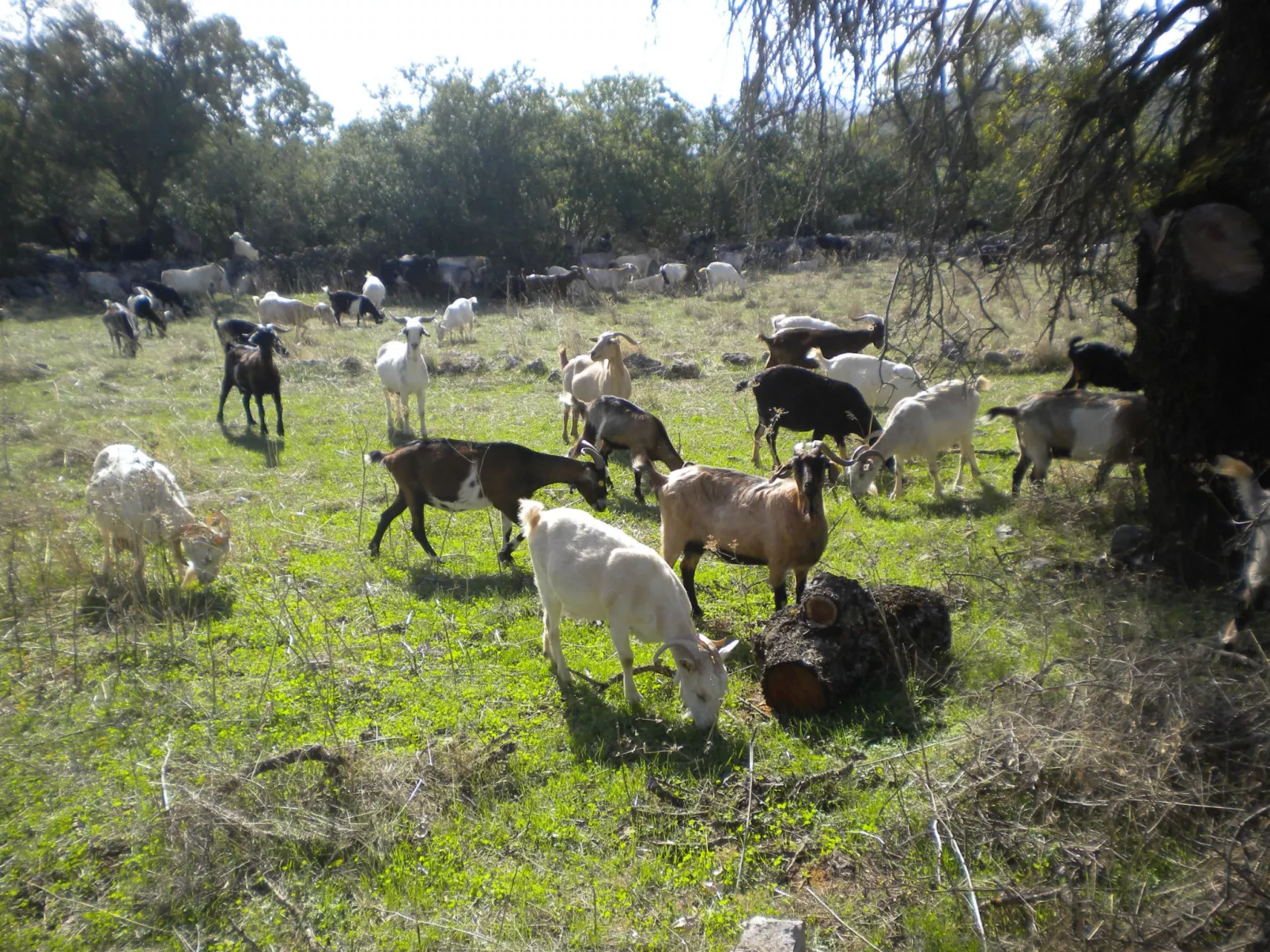 1249147 (copy)-Buiten