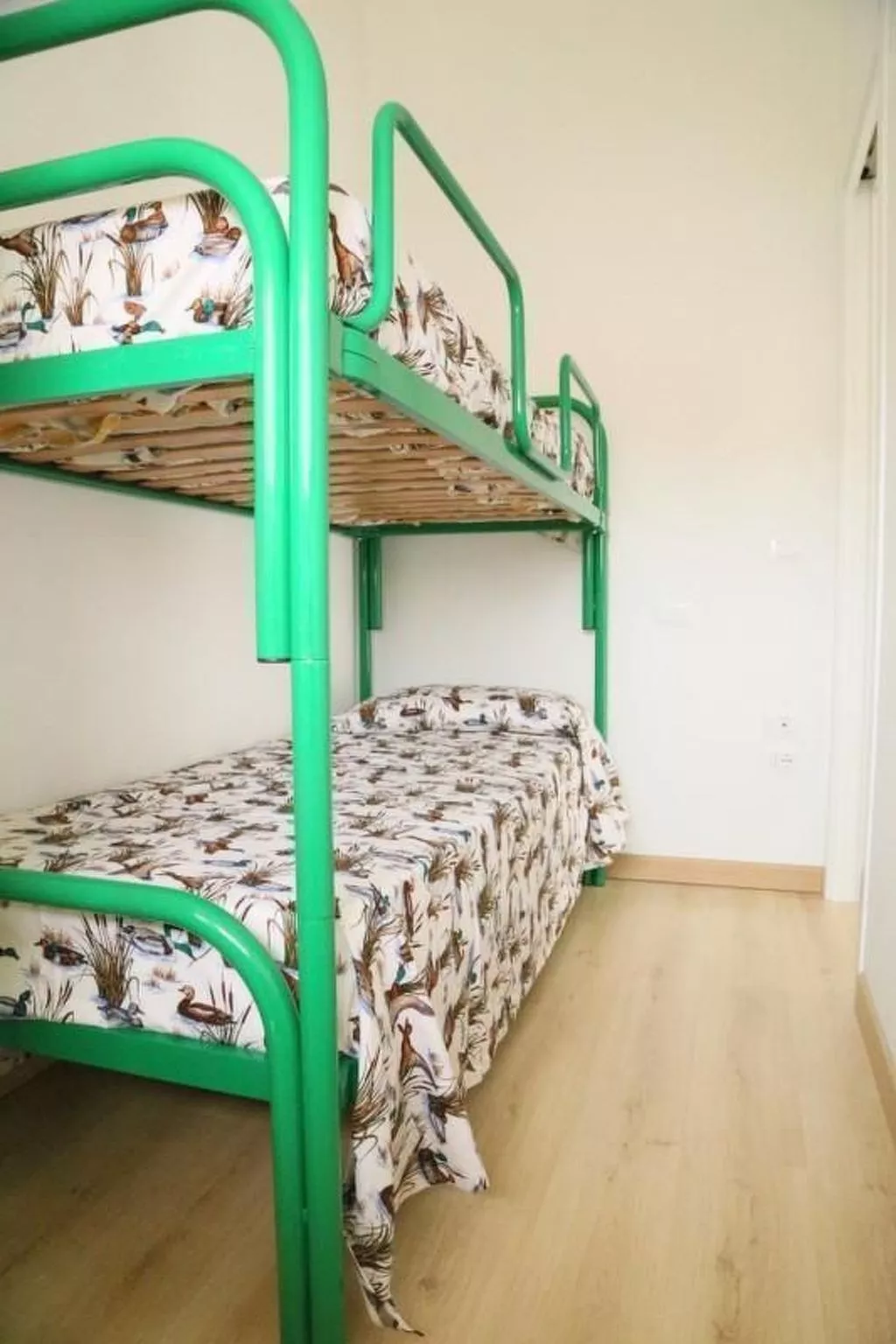 Residence TAMERICI-Image-tags.info