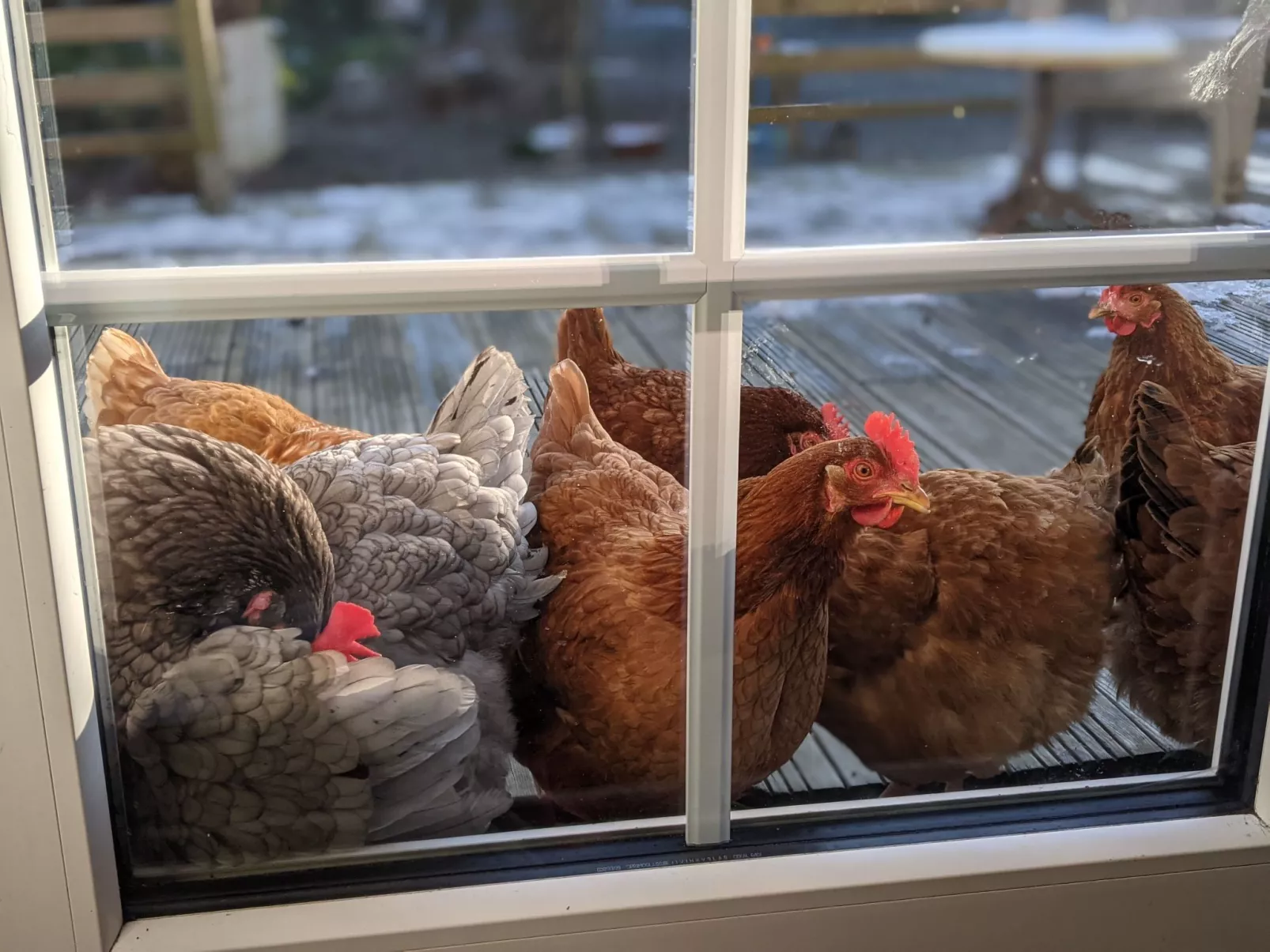 Landgut "La Vacherie" mit Terrasse-Buiten