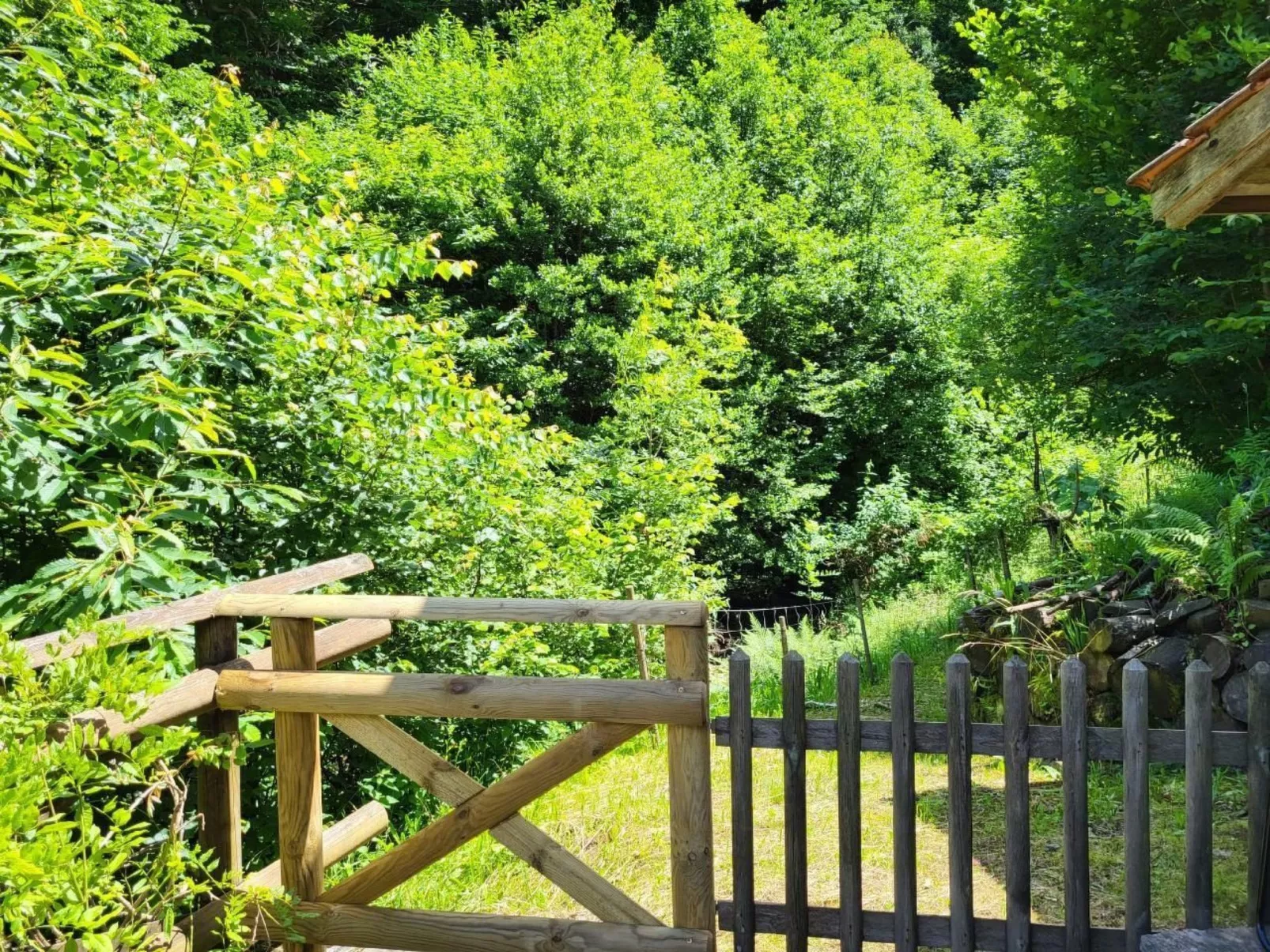 Rustico Ca Mignolo - Buiten