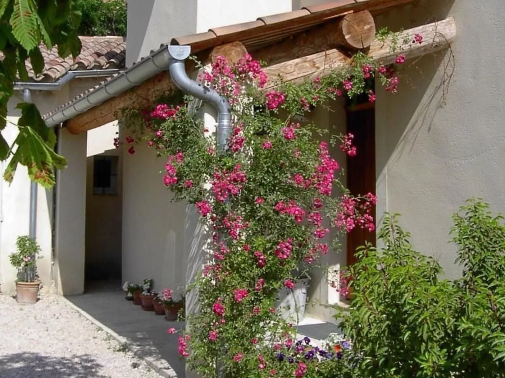 Mas de la damisello-Image-tags.info