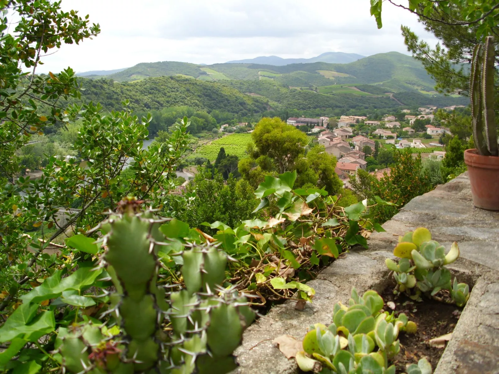 Bijou-Image-tags.info