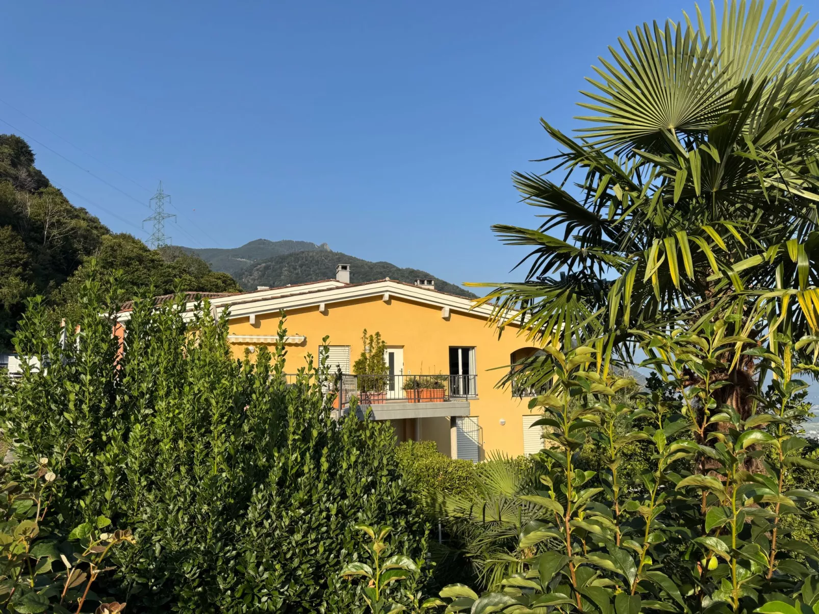 La Camelina - Contra-Buiten