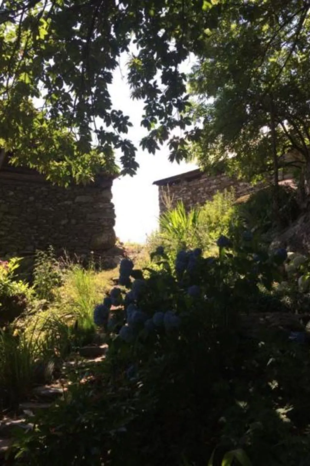 Weg von der Zuvielisation-Buiten