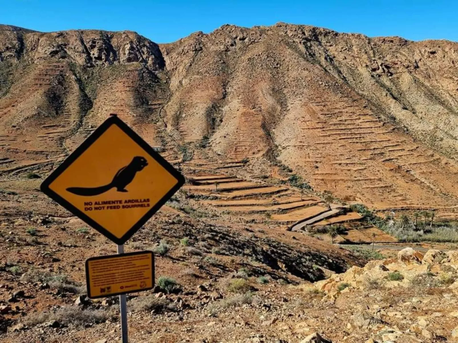 Villa Nagallo Wohnsiedlung La Capellania-Buiten