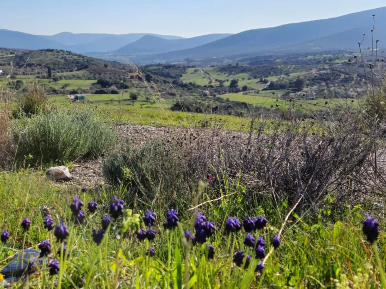 "Villa Newlands" - Pool, Meer und Inseln-Buiten