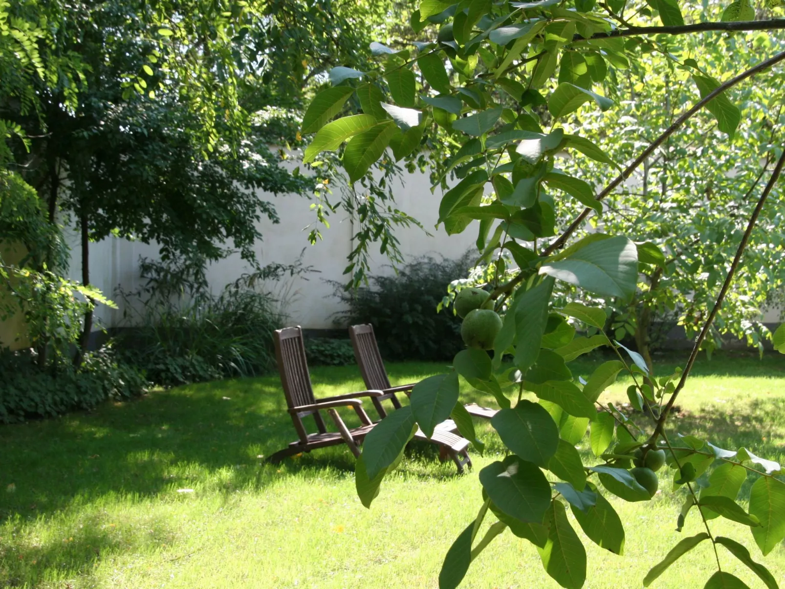 Hütte mit Garten, Grill und Terrasse-Buiten