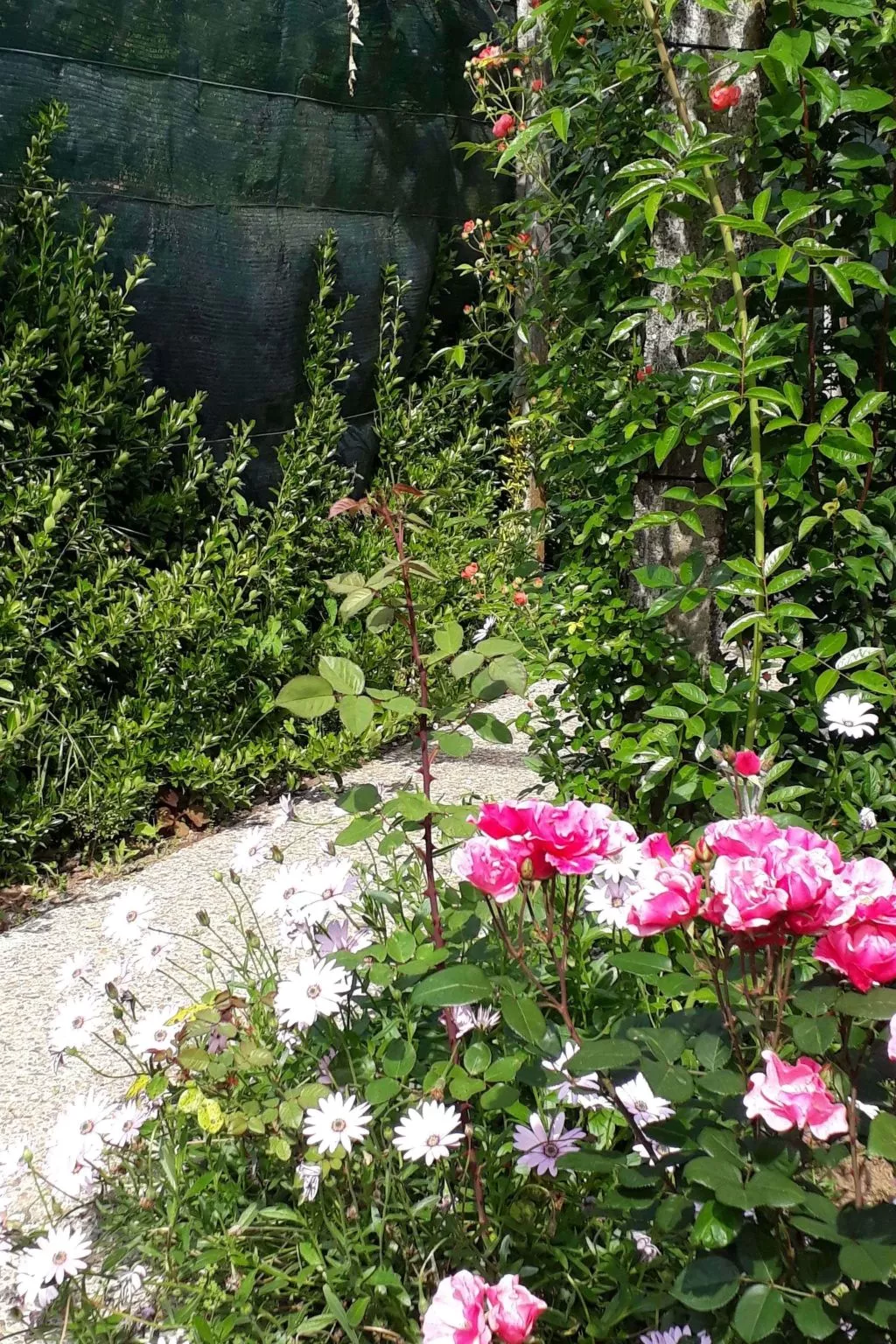 Quinta D'Avó Amélia, wunderschönes Landhaus zwischen den Bergen und dem Meer-Buiten