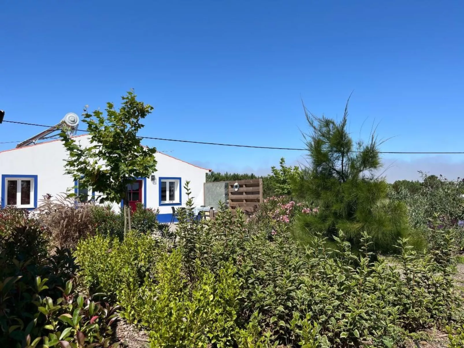 Auf dem Lande in der Nähe des Strandes-Buiten