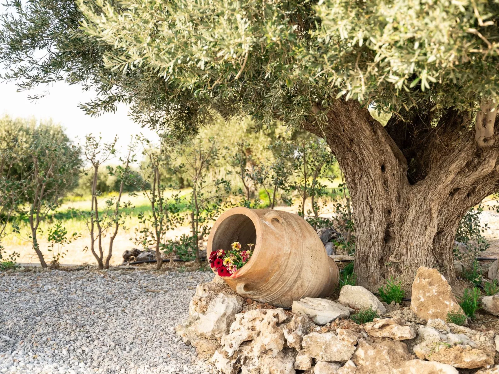 Diktamon Retreat Luxus-Villa-Buiten