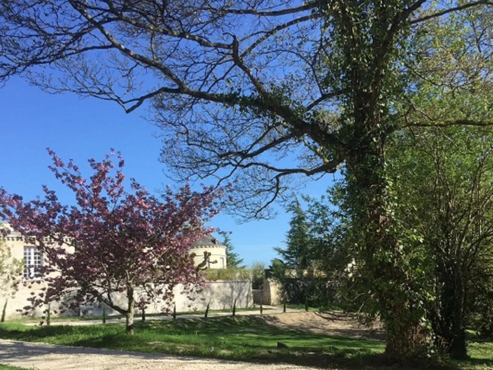 Cottage Garten 70m2 mit Pool in Azay le rideau-Buiten