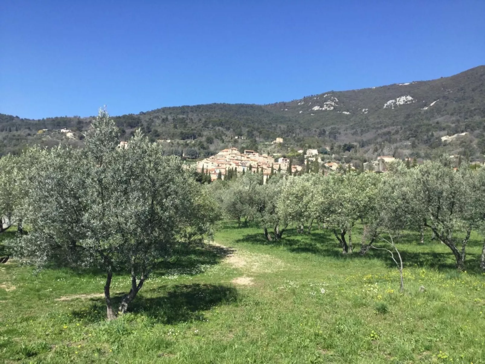 "Meline" mit Aussicht-Buiten