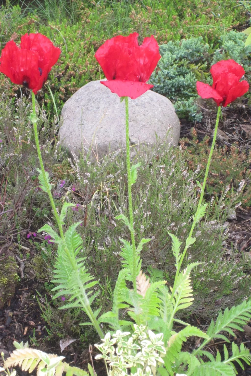 Landhaus am See-Buiten