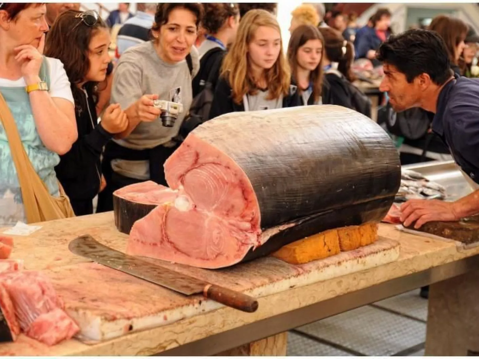 Seaview Refugium 633-Image-tags.info