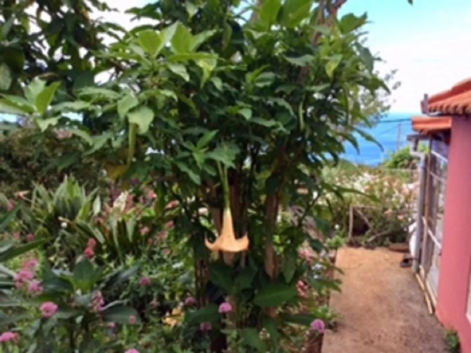 Klein-Norwegen-Image-tags.info