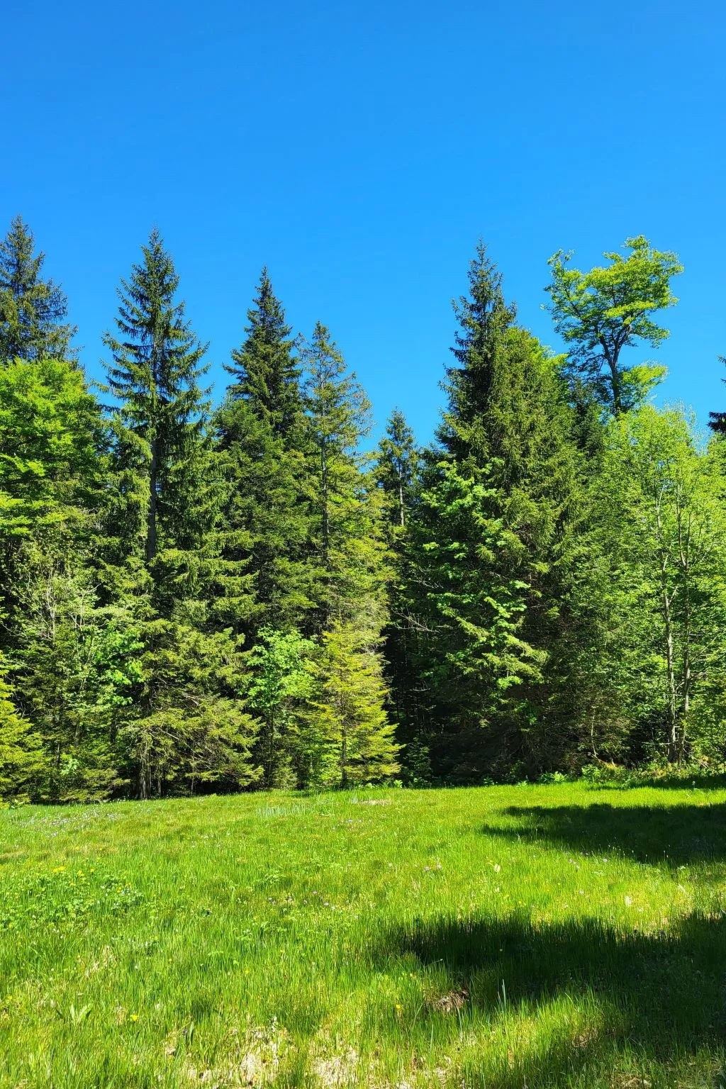 Fewo Pistenblick-Buiten