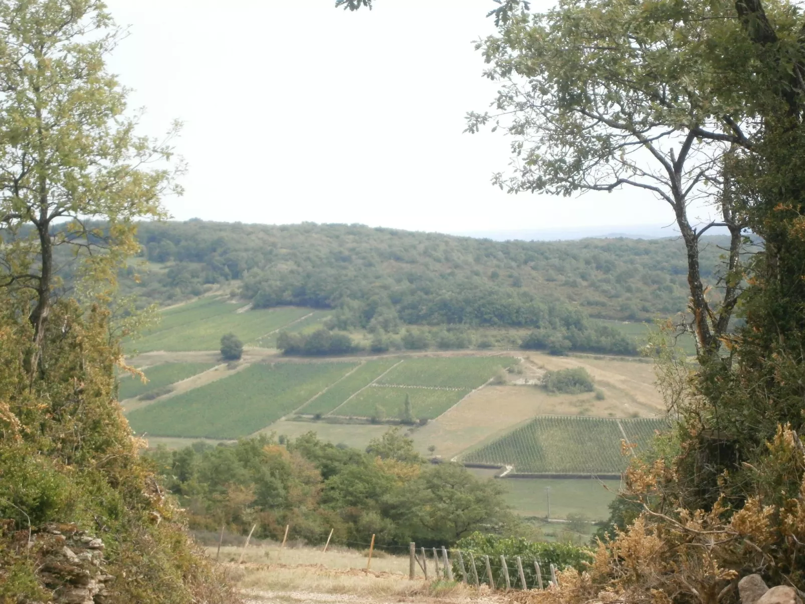 An der Weinstraße von Burgund-Buiten