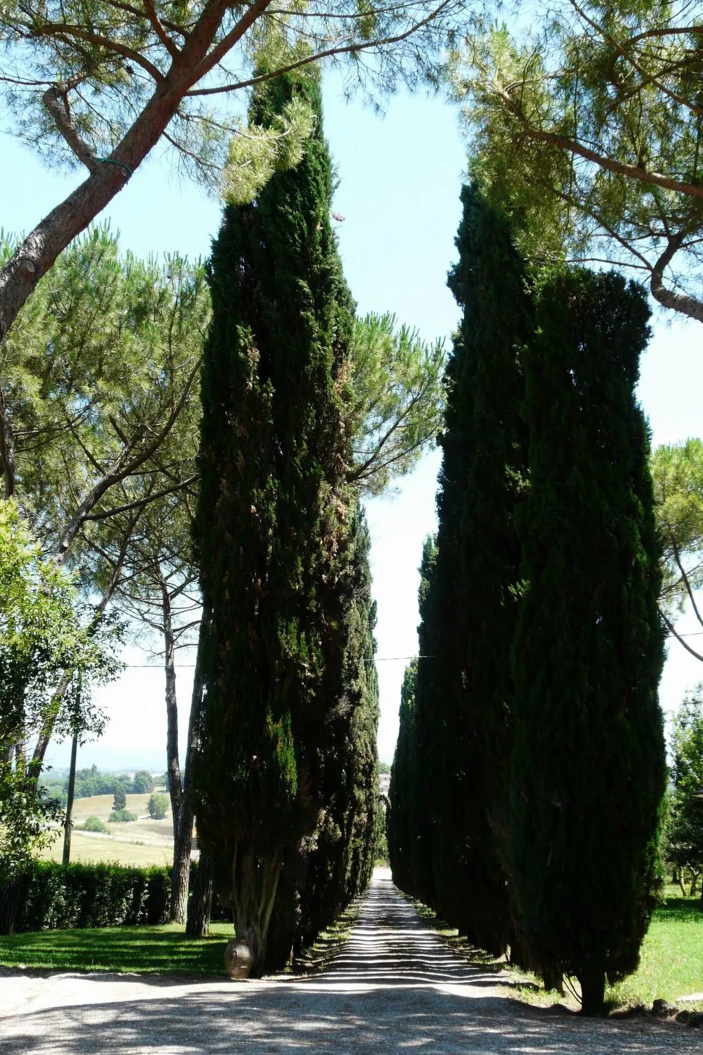 'Santinovo olivo' mit Pool-Buiten