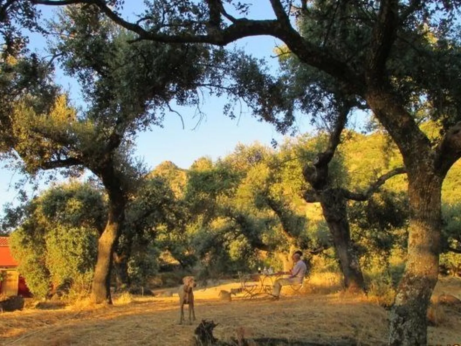 The Barn at Finca al-manzil-Image-tags.info