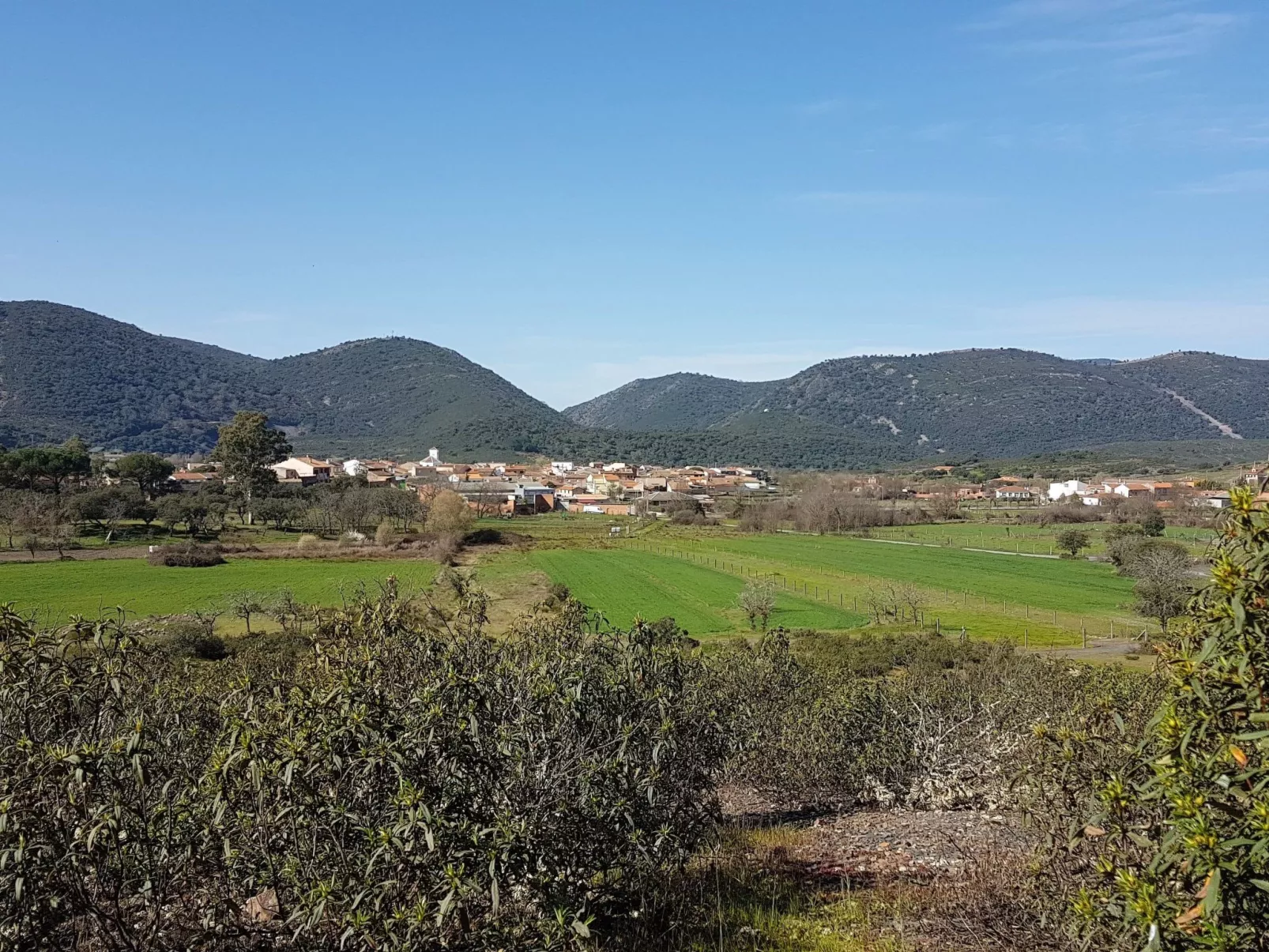 Mit privatem Pool-Image-tags.info