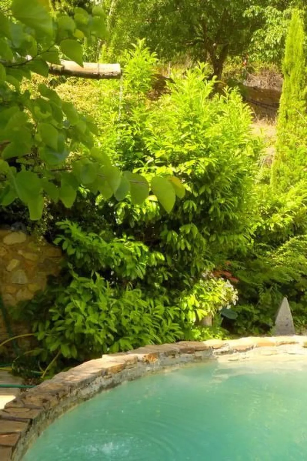 La Casita-Image-tags.info