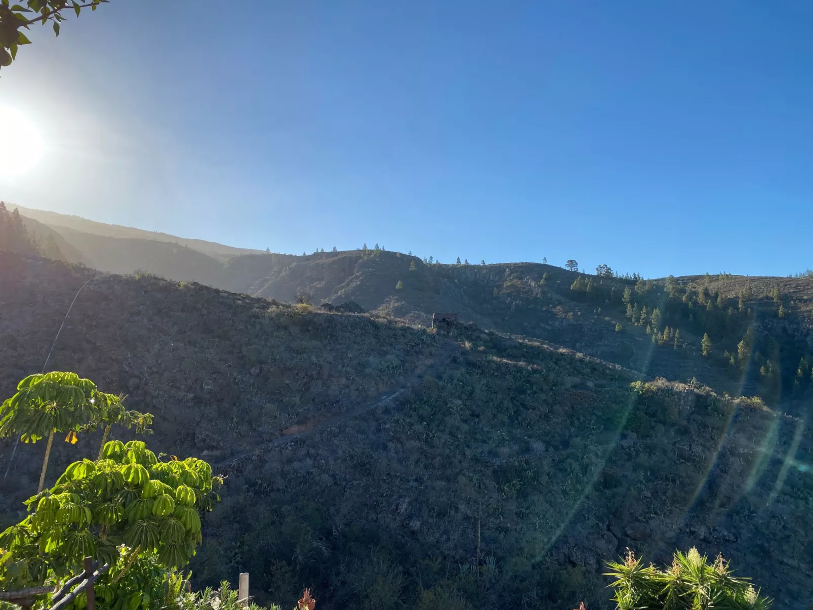 La Paloma mit gemeinschaftlichem Wellnessbereich-Buiten