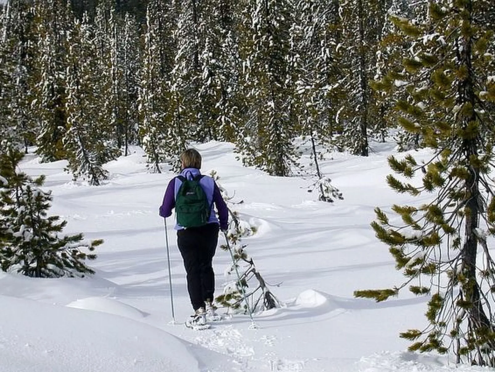 Annas Haus im Dolomiten-Nationalpark-Buiten
