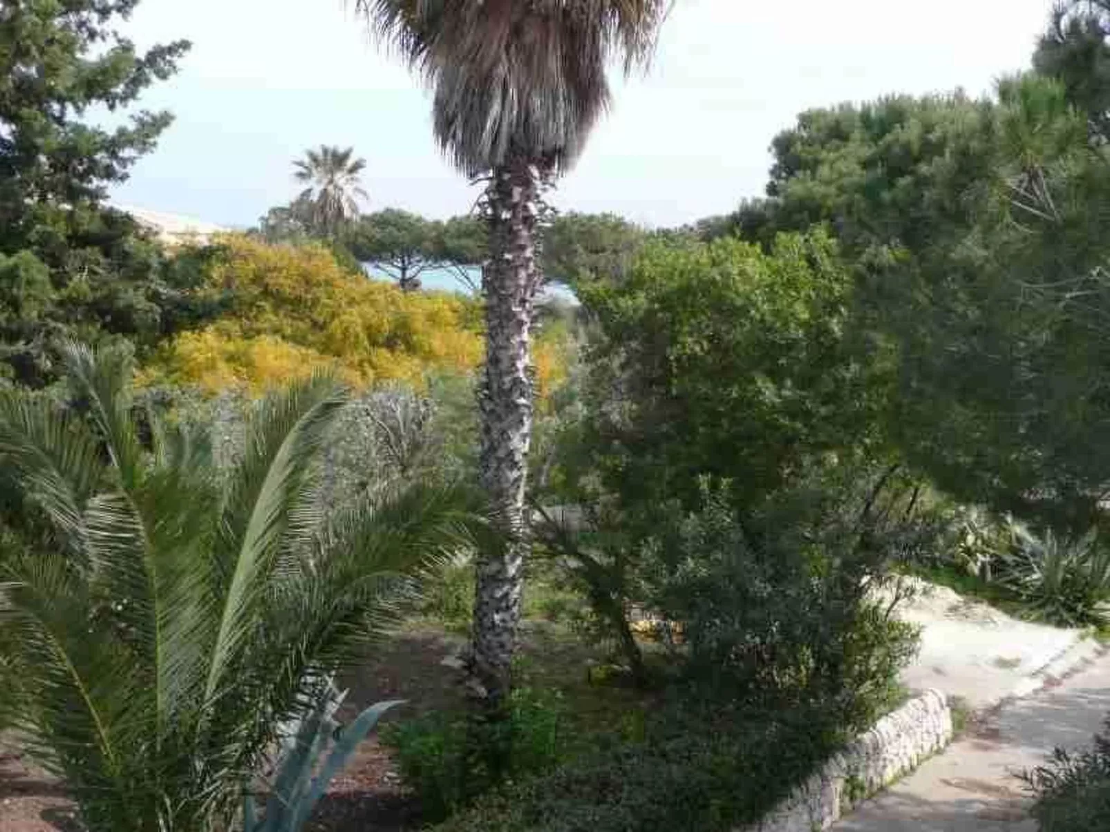 Villa Matilde: Kleine Ferienwohnung mit Meerblick-Buiten