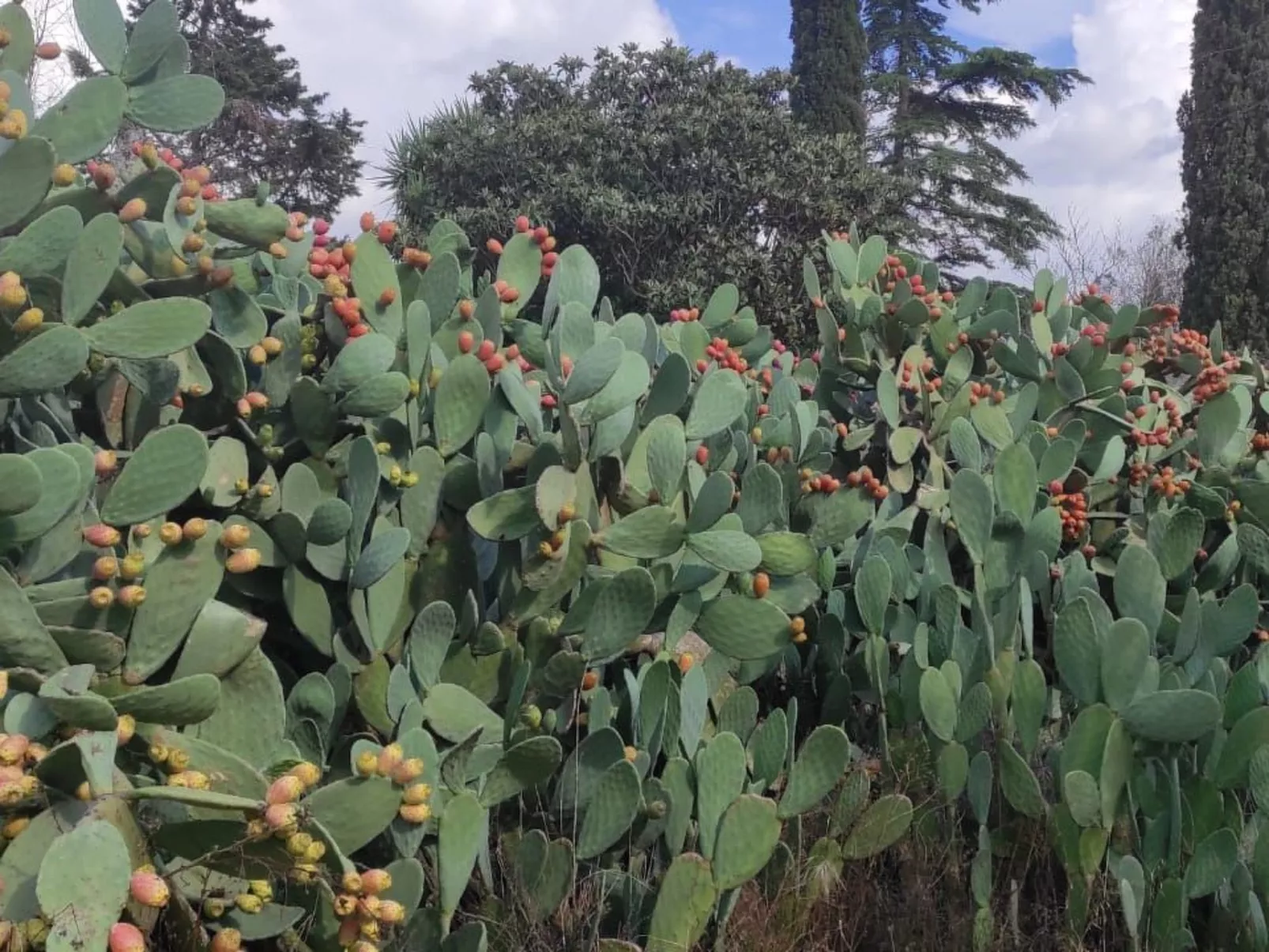Villa Barone Landhaus mit Pool-Image-tags.info