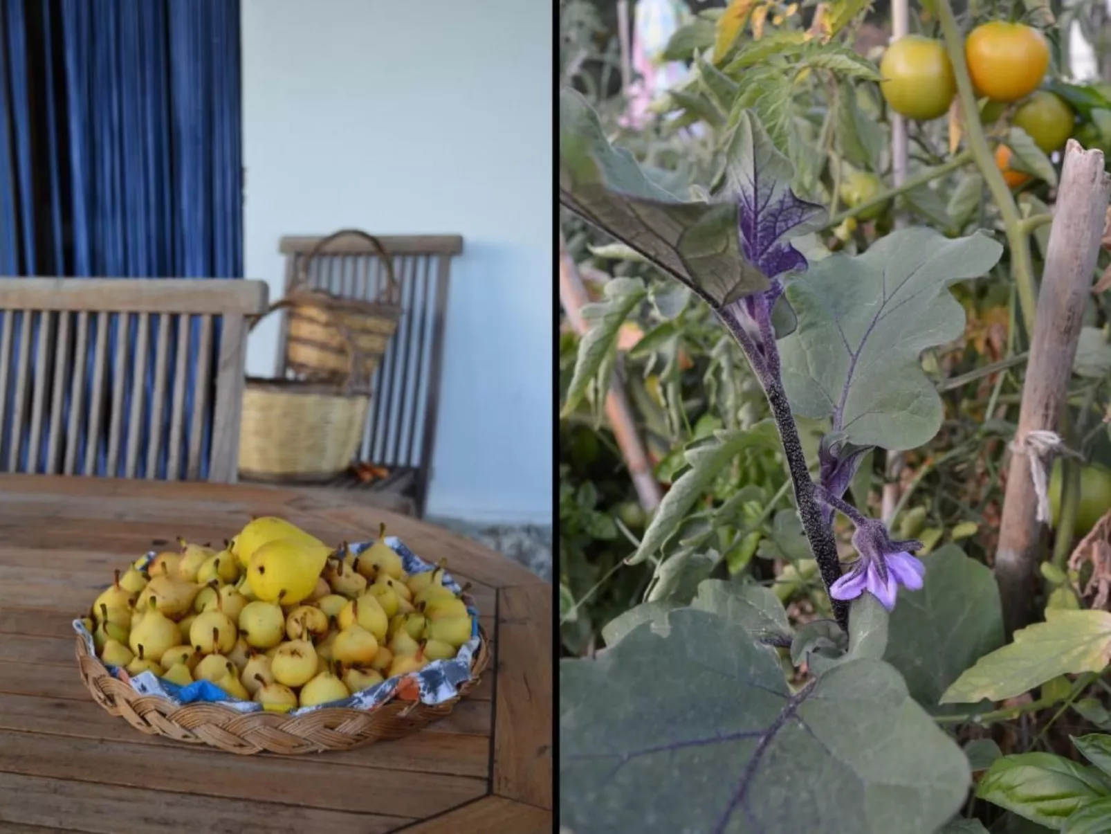 Su Sole de Barega-Binnen