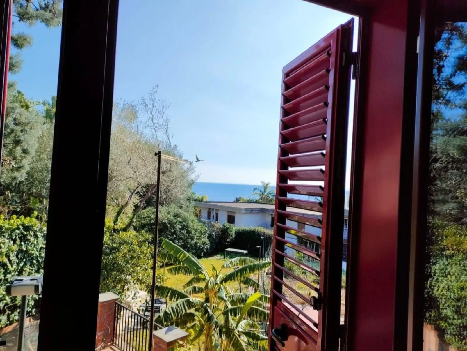 'Louise' in Strandnähe-Image-tags.info