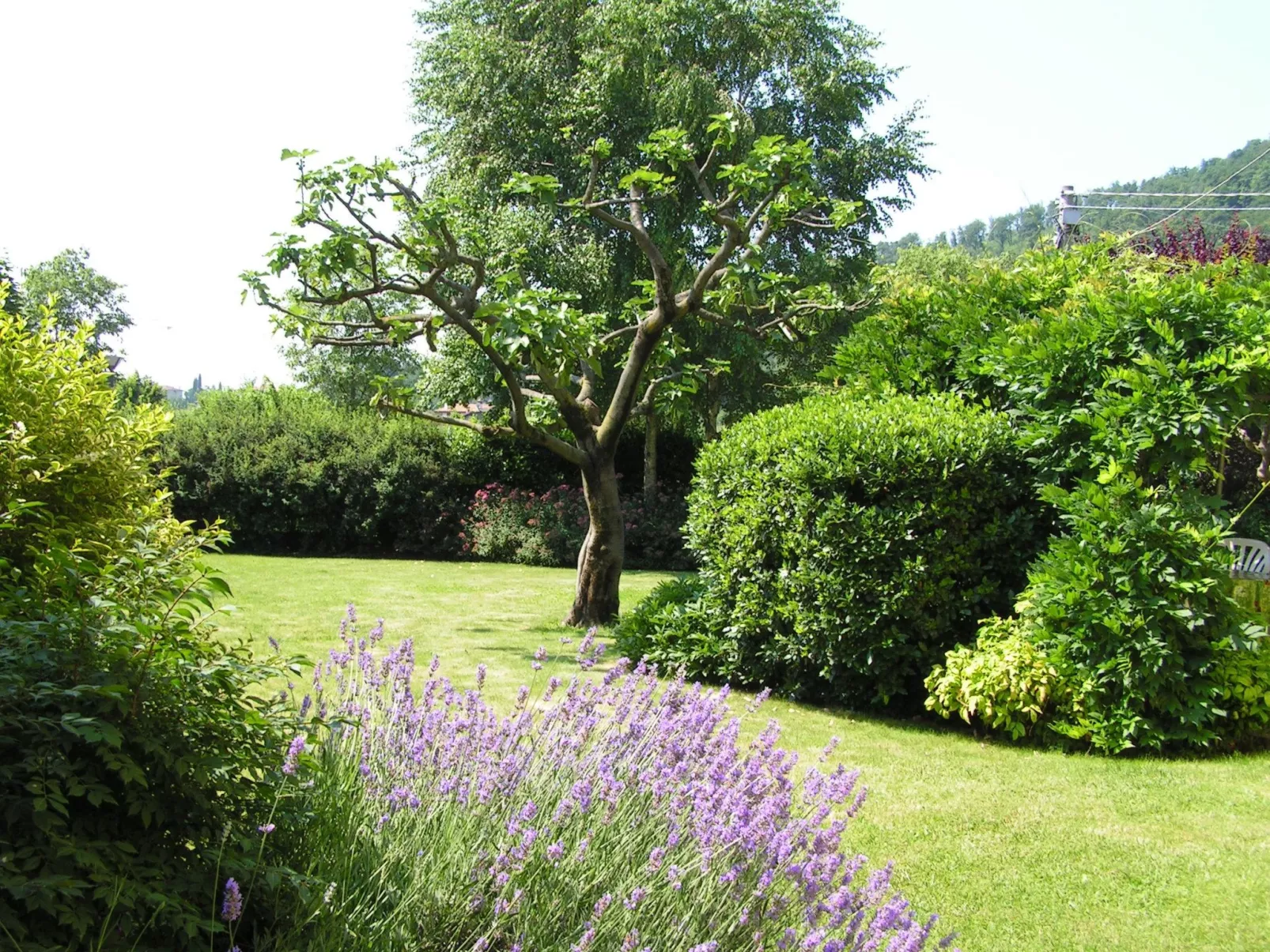 La Mimosa Franciacorta Lago d'iseo-Buiten